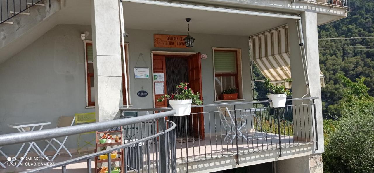 Agriturismo Vecchio Frantoio Villatella Eksteriør bilde