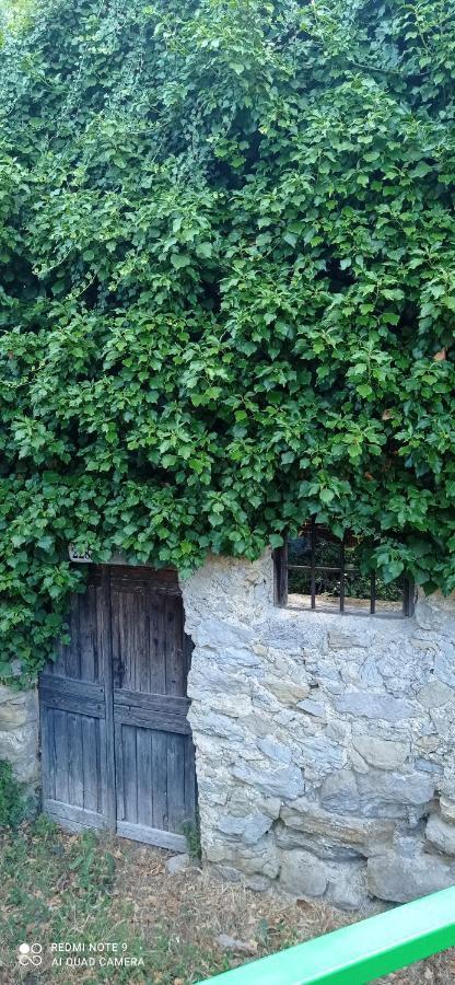 Agriturismo Vecchio Frantoio Villatella Eksteriør bilde