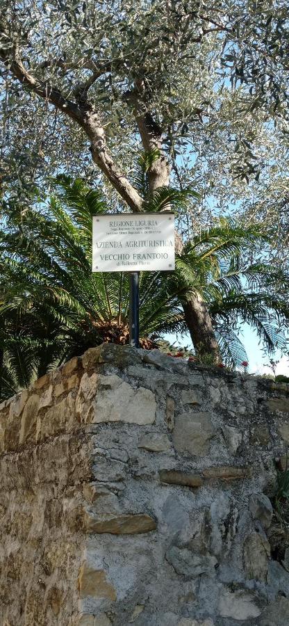 Agriturismo Vecchio Frantoio Villatella Eksteriør bilde