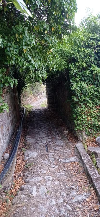 Agriturismo Vecchio Frantoio Villatella Eksteriør bilde
