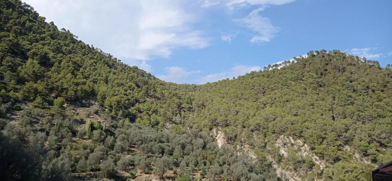Agriturismo Vecchio Frantoio Villatella Eksteriør bilde